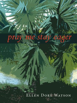 cover image of pray me stay eager